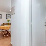 Dinka טרוגיר